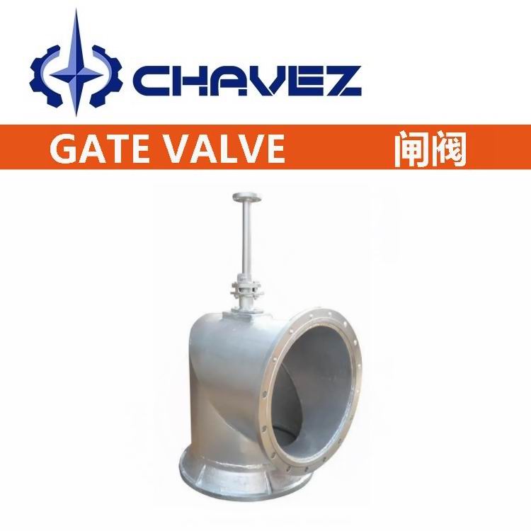 進(jìn)口配水閘閥.jpg
